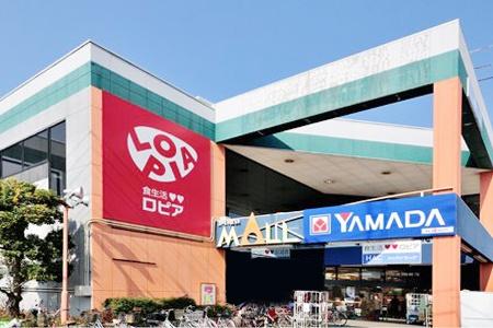 足柄上郡開成町吉田島の土地(かいせいモール)