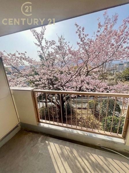 笹の台団地4号棟