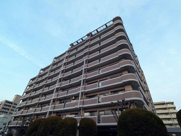 アムール板付7