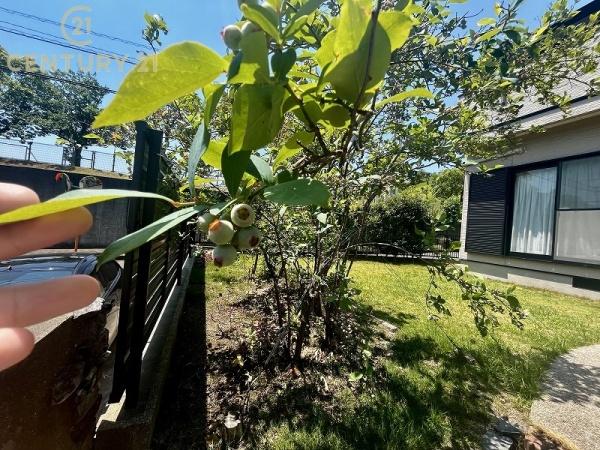 糟屋郡宇美町ゆりが丘１丁目の中古一戸建