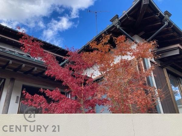 糟屋郡志免町桜丘３丁目の中古一戸建て