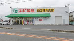 海津市海津町高須町の新築一戸建(スギドラッグ海津店)