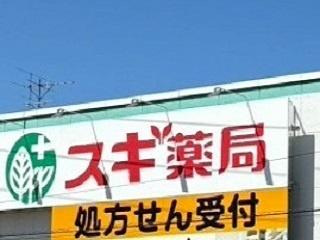 津島市越津町字馬三味の土地(スギ薬局神守店)