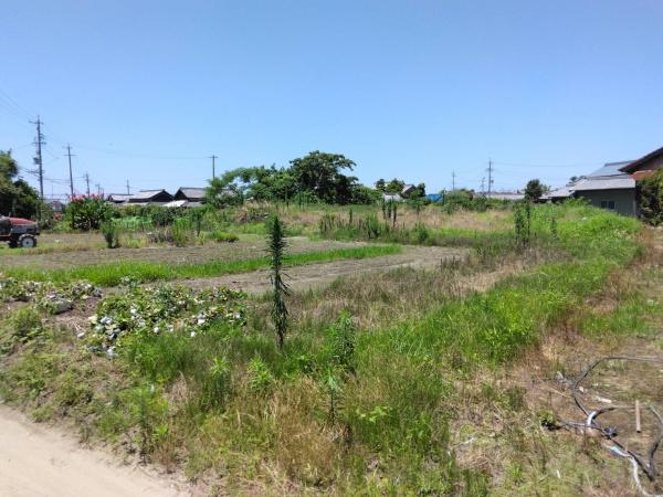 愛西市赤目町下堤畦の土地