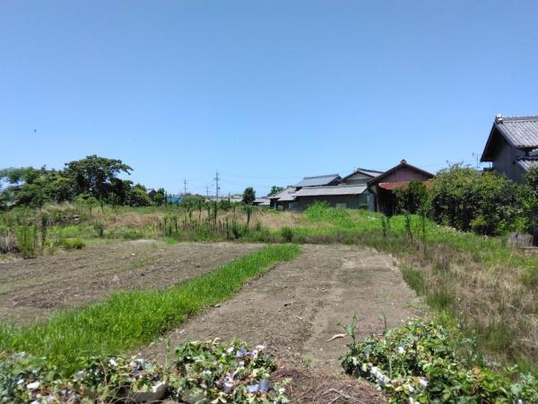 愛西市赤目町下堤畦　住宅用地