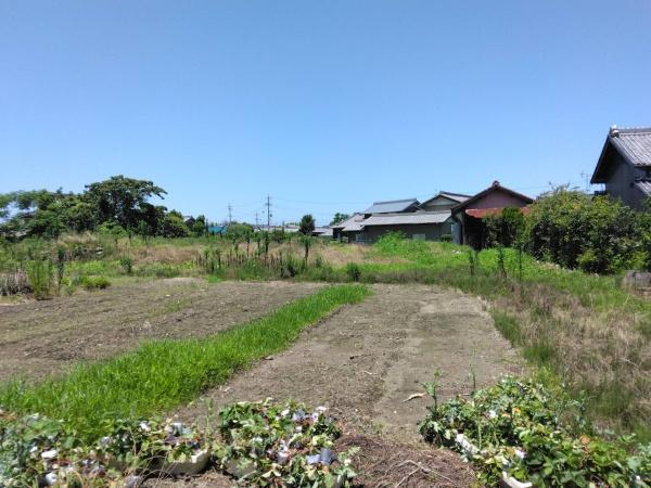 愛西市赤目町下堤畦の土地