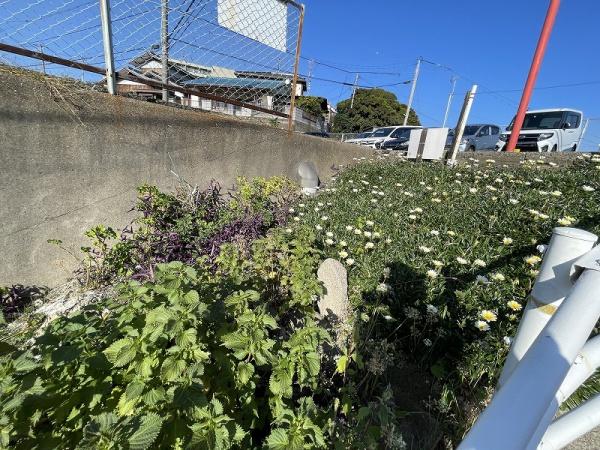 下関市後田町１丁目の土地