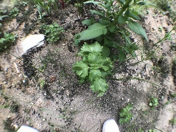 下関市生野町２丁目の土地