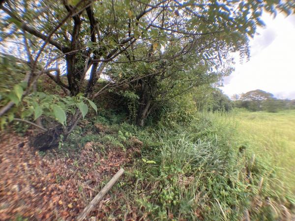 下関市彦島西山町１丁目の土地