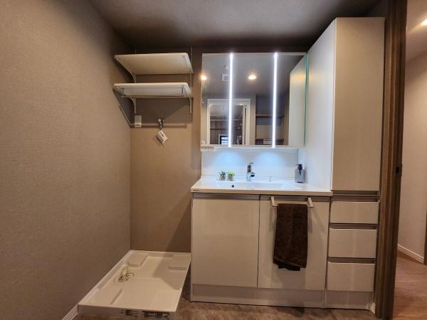 上田中町4丁目マンション/水廻り新品、ペット(洗面台・洗面所)