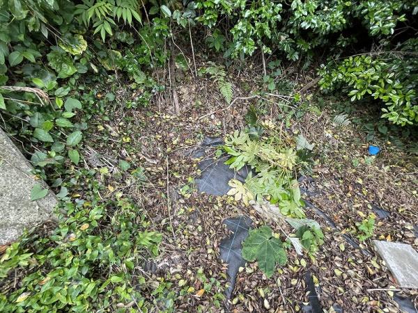 下関市彦島塩浜町2丁目の土地(その他)