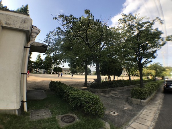 新垢田南町/1-2新築 角地(新垢田中央公園)