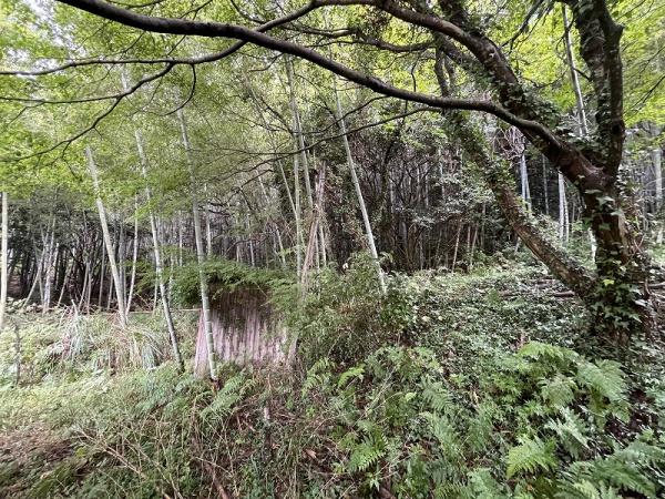 下関市王喜本町１丁目の中古一戸建て