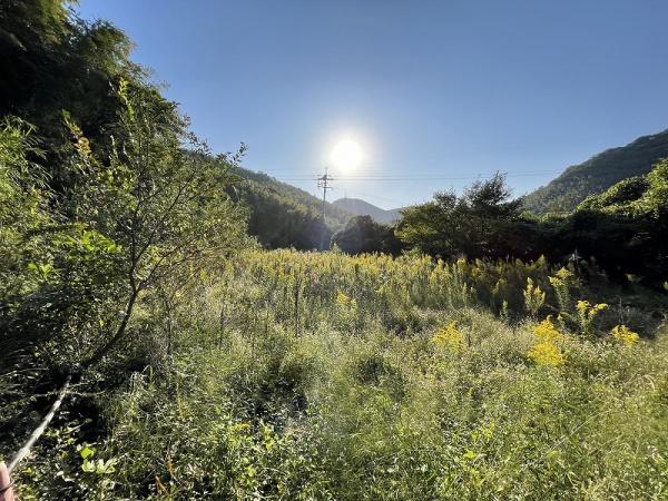 大字前田／工場、事務所向き