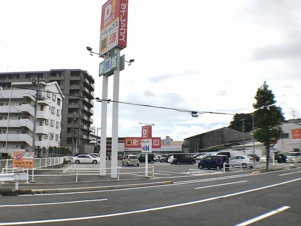 サーパス幡生本町／南向き　和室あり(DiREX幡生店)