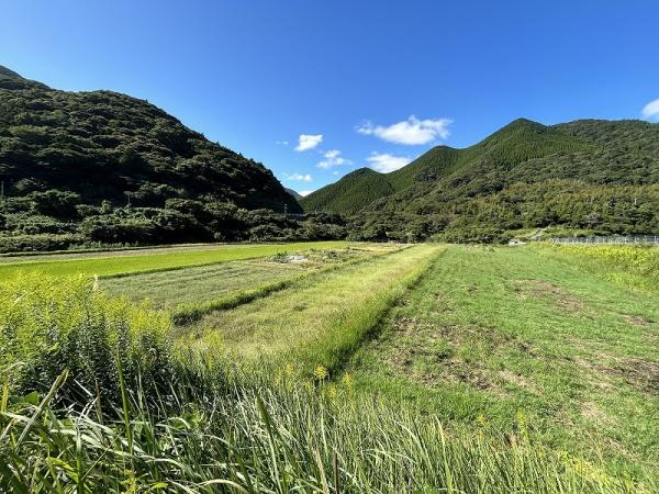 下関市大字井田の土地