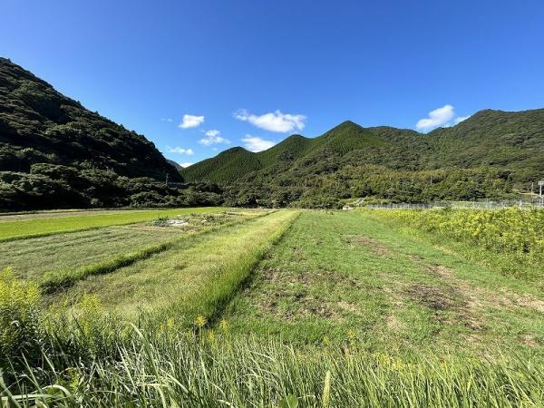 下関市大字井田の土地