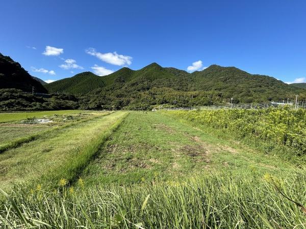 下関市大字井田の土地