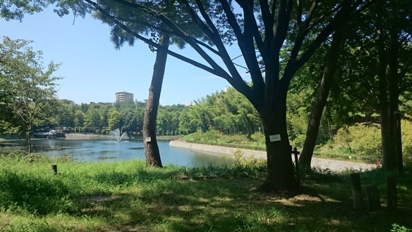 南千里第2コーポラスC棟(桃山公園)