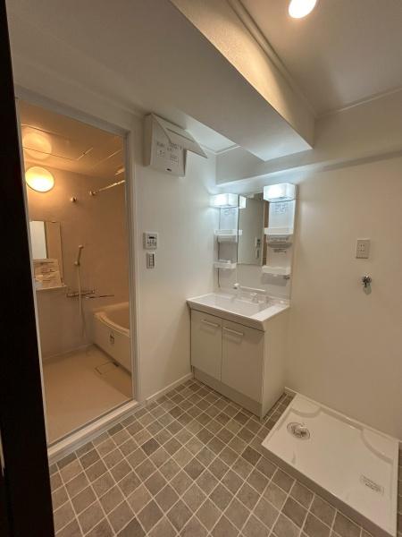 GSハイム第弐江坂(洗面台・洗面所)