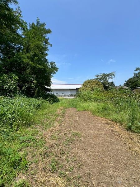 猿島郡境町大字大歩の土地
