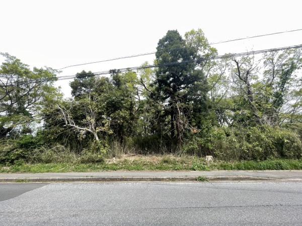 市原市椎津の土地