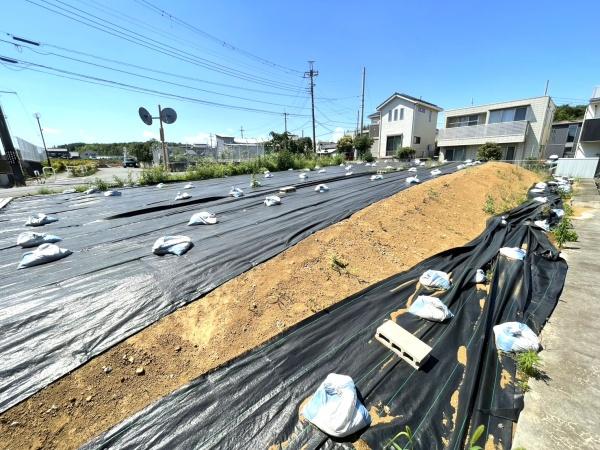 船橋市坪井町の土地