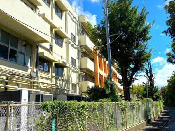 府中市若松町4丁目　新築分譲住宅全2棟(府中市立若松小学校)