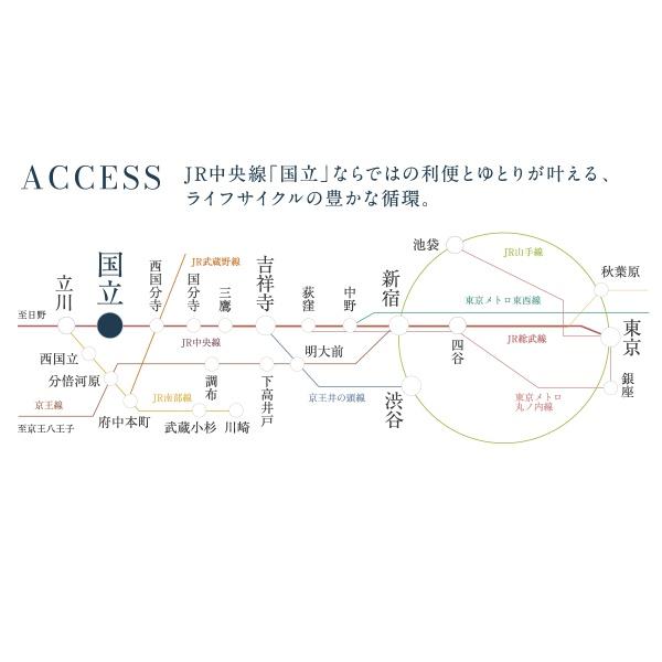 国分寺市光町2丁目　売地全2区画
