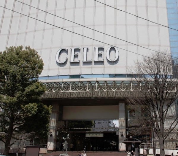 国分寺市本多４丁目の土地(国分寺駅(中央線))