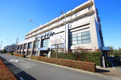 ペット飼育可能・ハイネス立川(ケーヨーデイツー国立青柳店)