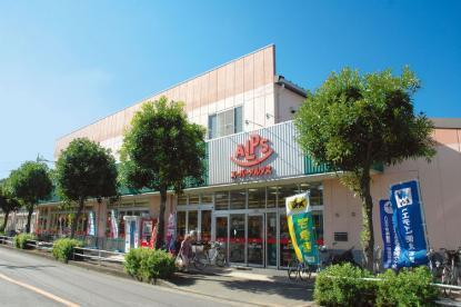 八王子市大楽寺町の土地(スーパーアルプス横川店)