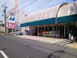 昭島市玉川町４丁目の土地(マルフジ東中神店)
