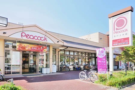 立川市幸町５丁目の新築一戸建(ピーコックストア玉川上水店)