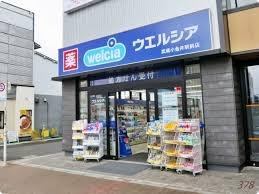 小金井市　マンション　セザール第二武蔵小金井(ウエルシア武蔵小金井駅前店)