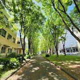 パレス大井(葉場公園)
