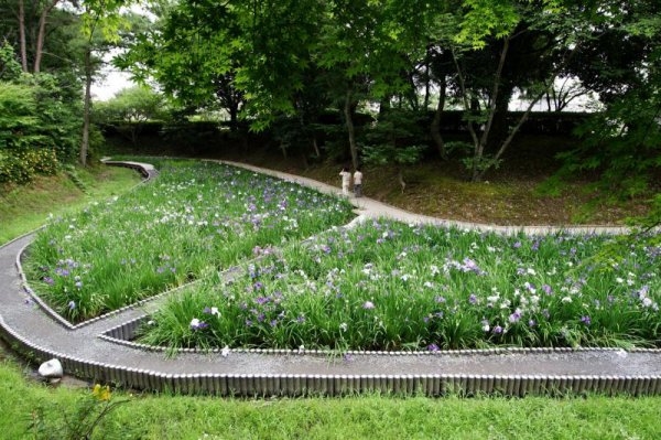 ハートフルタウン ひたちなか市足崎 3期 1(馬渡はにわ公園花しょうぶ園)
