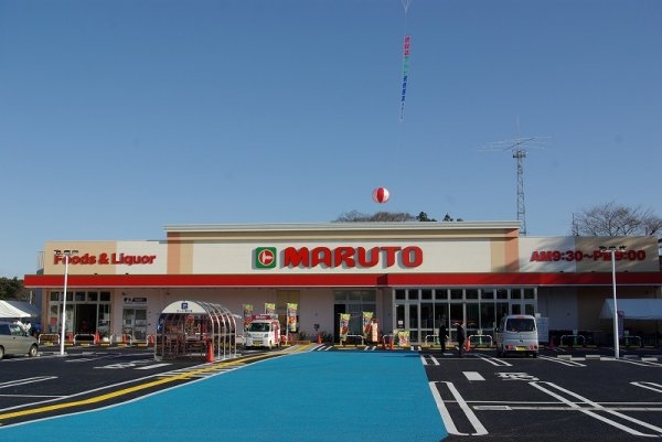 Terrace 水戸市元吉田町 1期 1(マルト元吉田店)