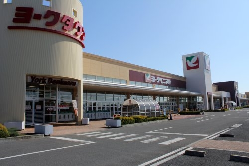 リーブルガーデンひたちなか外野 1期 1(ヨークタウンひたちなか店)