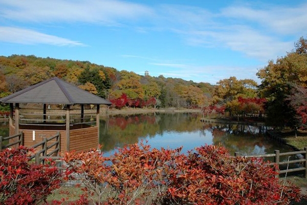 Cradlegarden 笠間市大田町 第3 2(北山公園)