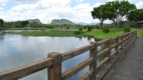 石岡市若松3丁目の土地(柏原池公園)