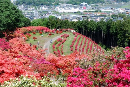Terrace　笠間市笠間　1期　1(笠間つつじ公園)