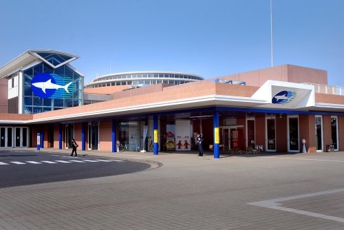 ハートフルタウン 殿山町2丁目 1672番(アクアワールド茨城県大洗水族館)