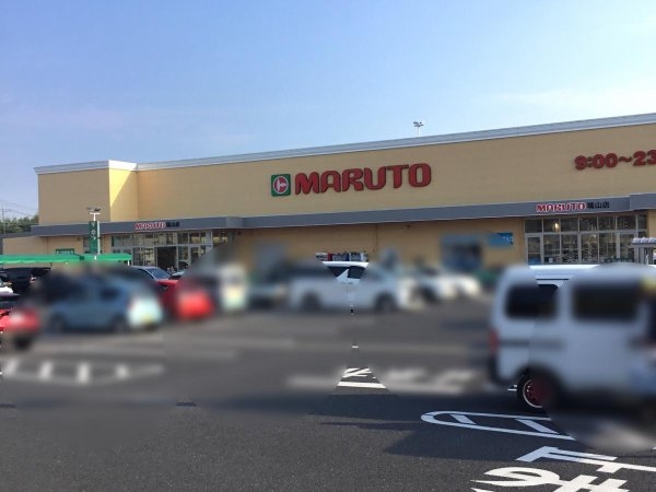 Terrace 日立市大久保町 1期 2(マルト塙山店)