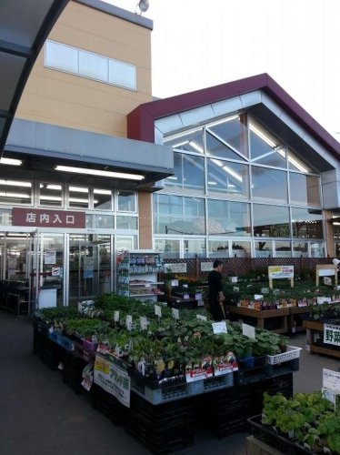 Cradlegarden　常陸大宮市野中町　第8　3(山新大宮店)