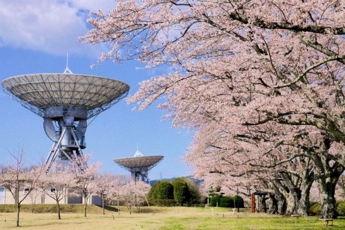 リーブルガーデン高萩市高萩　7期　3(高萩市衛星通信記念公園(さくら宇宙公園))
