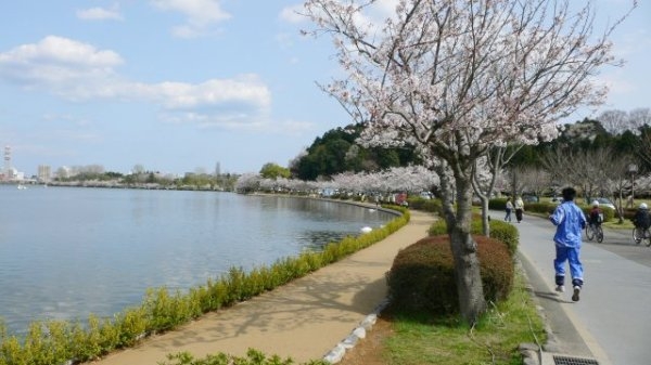 リーブルガーデン水戸元吉田町　10期　2(千波湖)