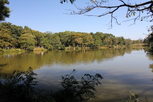ケイアイフィット　ひたちなか市東大島　1期　限定1棟！(大島公園)