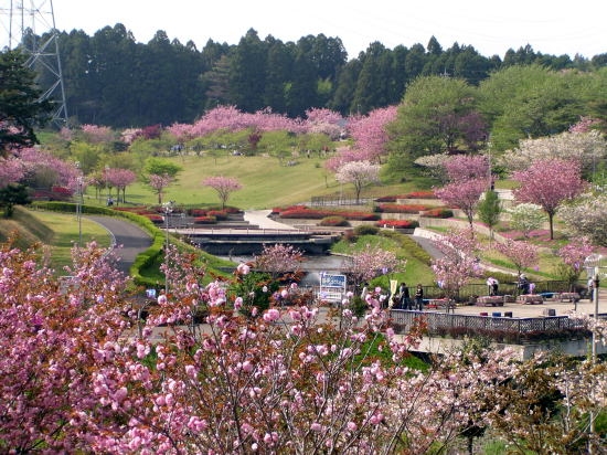 那珂市平野の中古一戸建て(静峰ふるさと公園)