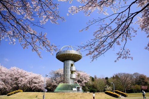Cradlegarden　日立市川尻町　第7　1(十王パノラマ公園)